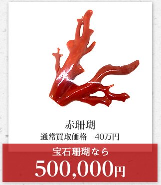 赤珊瑚 通常買取価格　40万円 宝石珊瑚なら 500,000円
