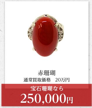 赤珊瑚 通常買取価格　20万円 宝石珊瑚なら 250,000円