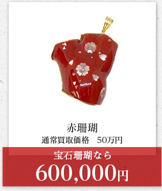 赤珊瑚 通常買取価格　50万円 宝石珊瑚なら 600,000円